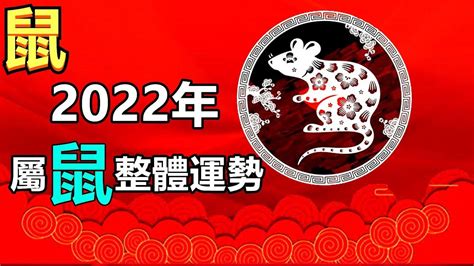 2022年生肖|2022年生肖运势运程详解（最新每月完整版）